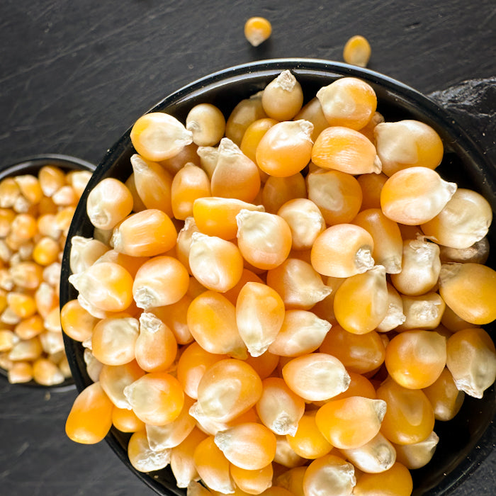 Popkorna kukurūzas graudi