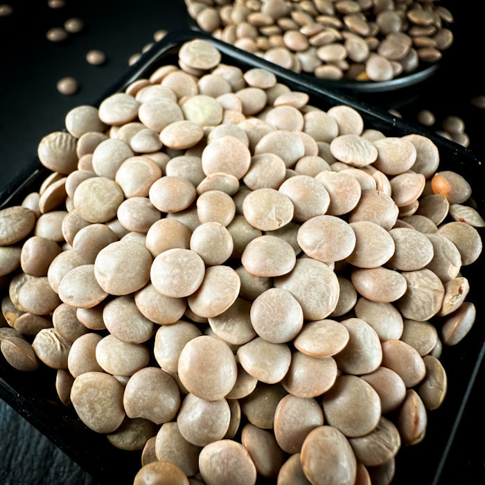 Sarkanās lēcas nelobītas