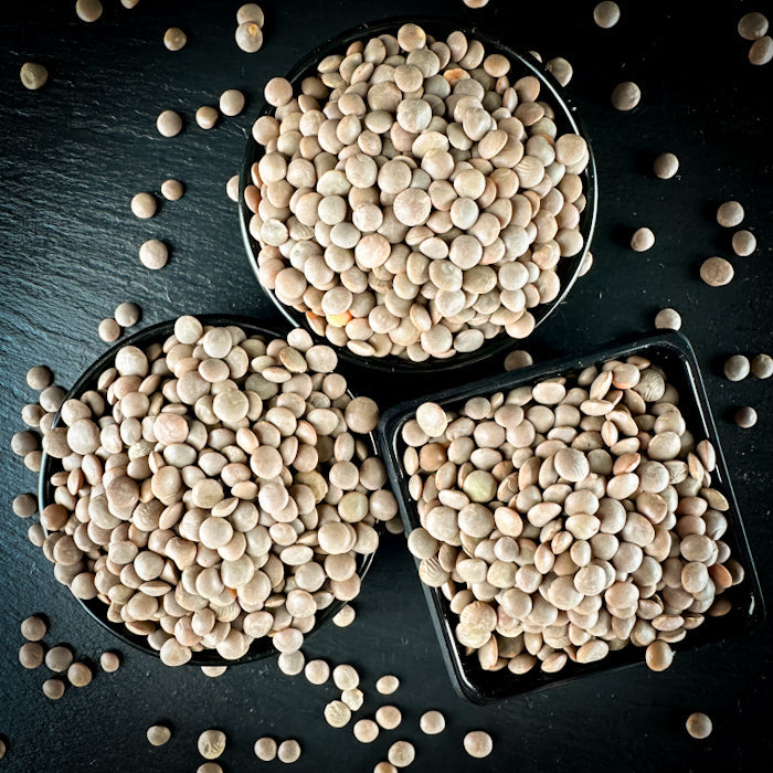 Sarkanās lēcas nelobītas