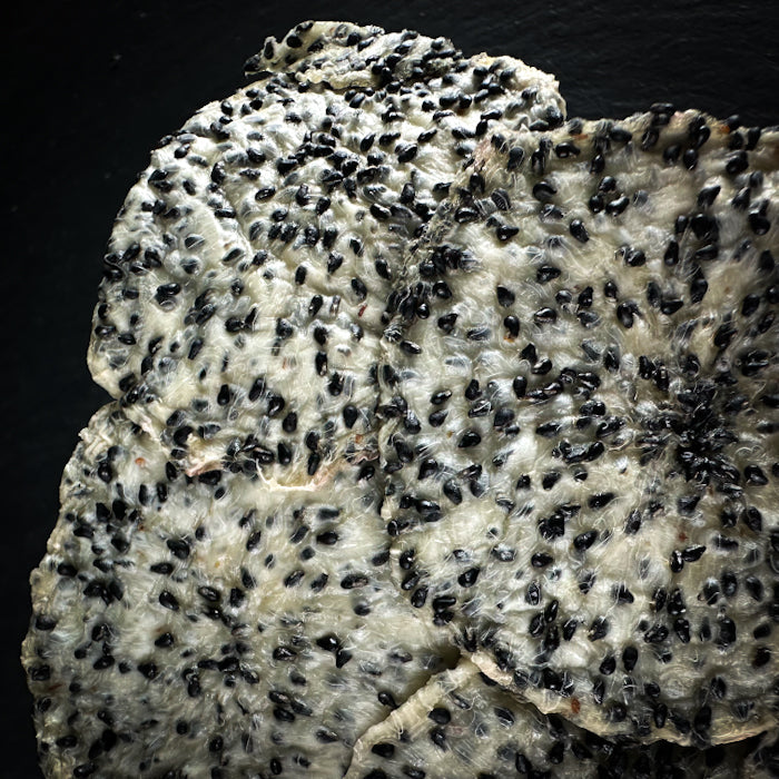 Žāvēta pitaija, baltā (dragon fruit)